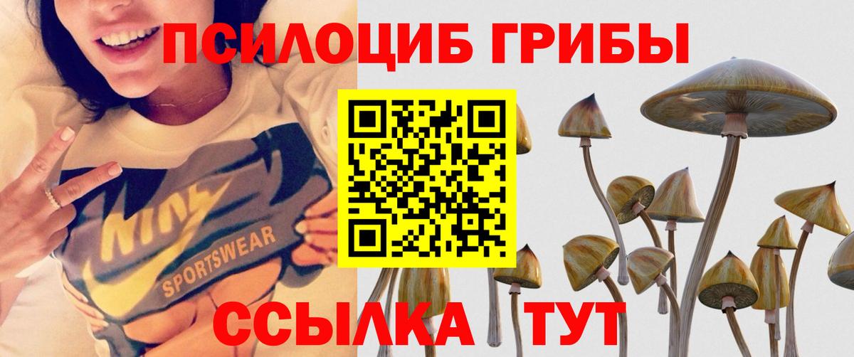 продажа наркотиков  Псилоцибиновые грибы мухоморы  Рославль  Вход с VPN  Псилоцибиновые грибы Psilocybe 