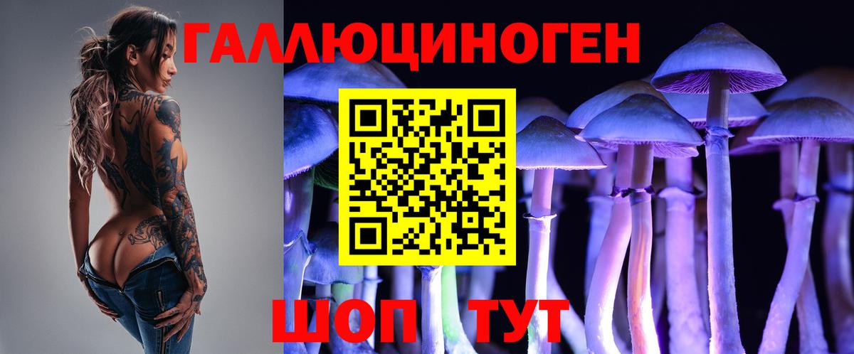 Псилоцибиновые грибы мицелий Рославль