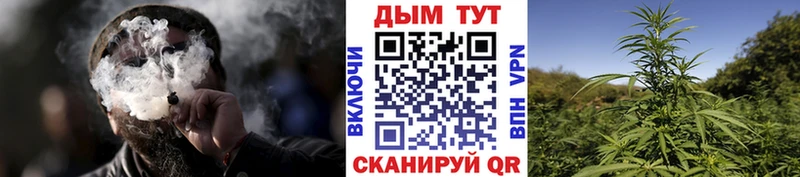 Конопля семена  хочу наркоту  Рославль 